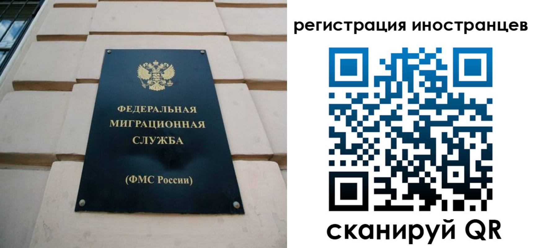 где прописаться в Фрязино