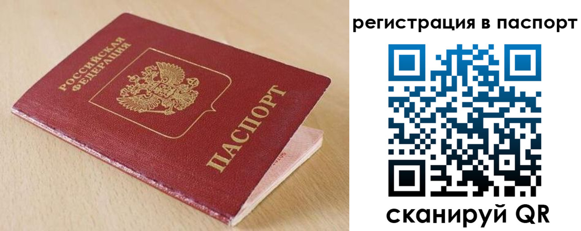 прописка поиск в Фрязино