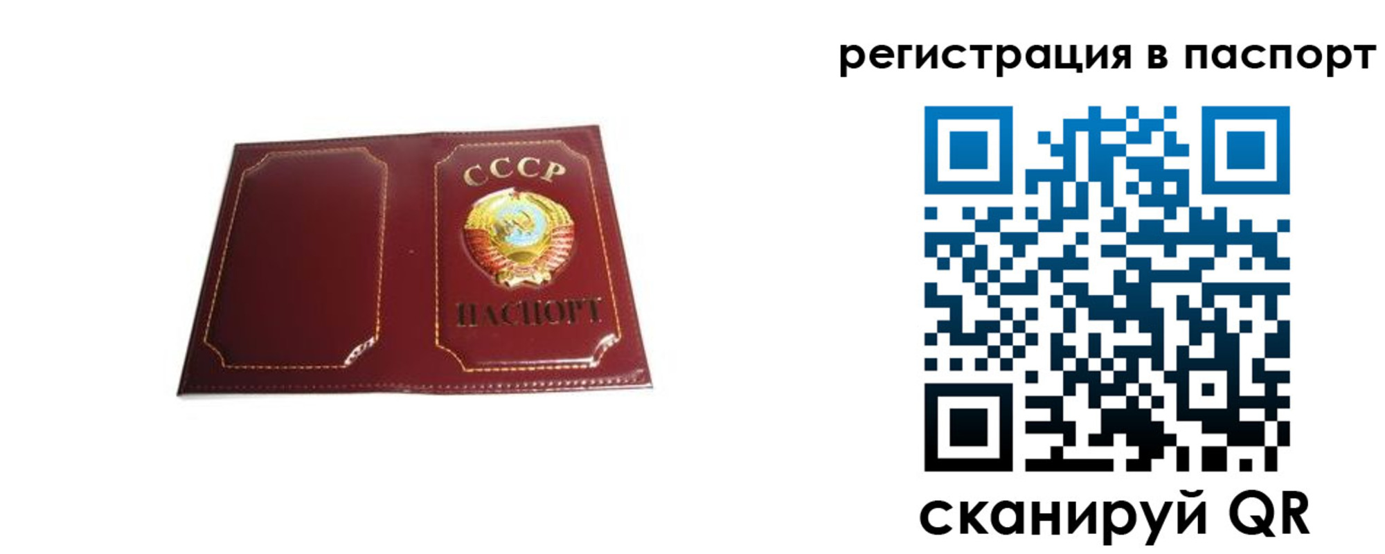 прописка 2025 в Фрязино